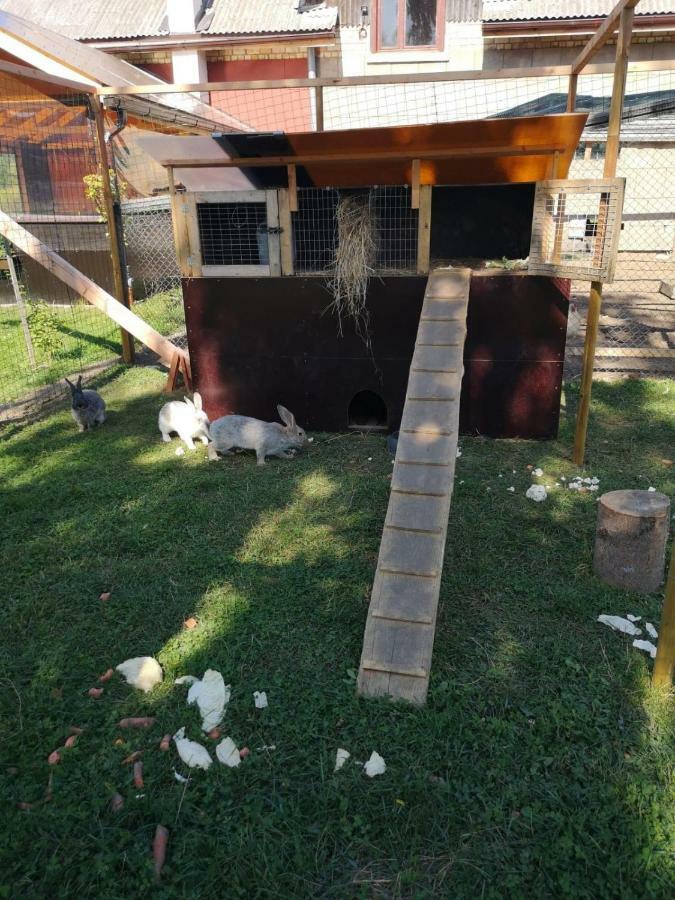 Pirts Maja Ramatas Villa Skulte  ภายนอก รูปภาพ